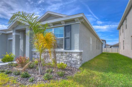 New construction Single-Family house 12463 Shining Willow Street, Riverview, FL 33579 Camden- photo 6 6