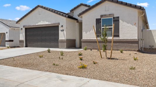 New construction Single-Family house Elgin, 1167 W. Chimes Tower Drive, Casa Grande, AZ 85122 - photo