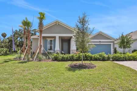 New construction Single-Family house 9332 Gulf Haven Dr, Parrish, FL 34221 - photo 4 4