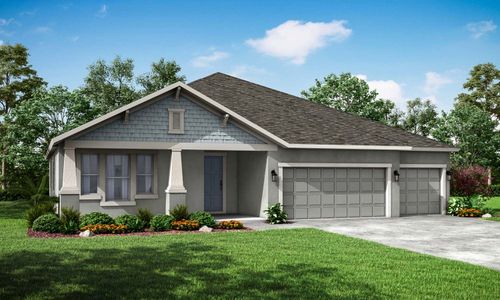 New construction Single-Family house 8815 Mugnai St., Riverview, FL 33578 - photo 2 2