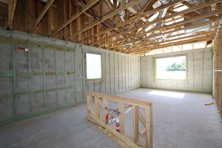 New construction Single-Family house 2806 Autumn Rock Drive, Zephyrhills, FL 33540 Herrera- photo 23 23