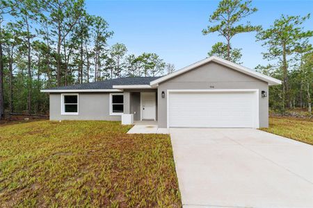 New construction Single-Family house 452 Sw Sycamore Road, Dunnellon, FL 34431 - photo 1 1