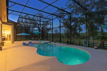 New construction Single-Family house 20404 Wolf Springs, Clermont, FL 34715 - photo 60 60