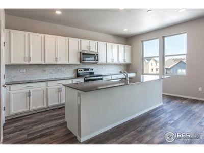 New construction Single-Family house 3002 Biplane St Fort, Fort Collins, CO 80524 Hemingway- photo 14 14