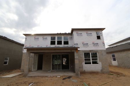 New construction Single-Family house 12114 Hilltop Farms Drive, Dade City, FL 33525 Alenza- photo 61 61