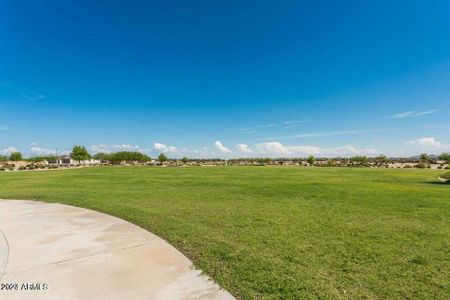 New construction Single-Family house 23131 E Via Las Brisas, Queen Creek, AZ 85142 - photo 56 56