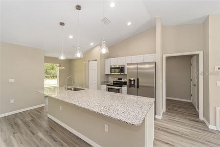 New construction Single-Family house 61 180th Circle, Dunnellon, FL 34432 - photo