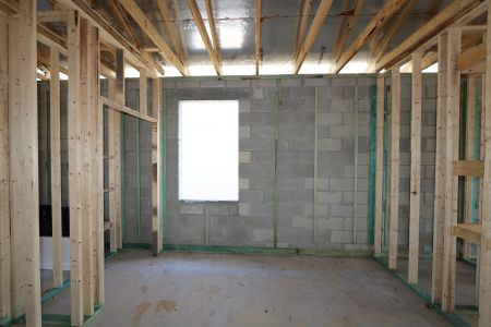 New construction Single-Family house 32568 Sapna Chime Drive, Wesley Chapel, FL 33545 Barcello- photo 13 13