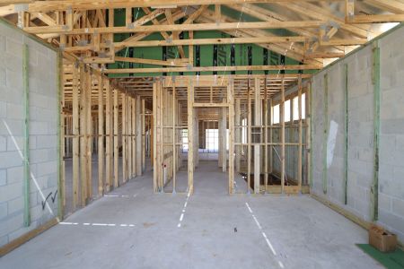 New construction Single-Family house 2466 Clary Sage Drive, Spring Hill, FL 34609 Corina  III Bonus- photo 16 16