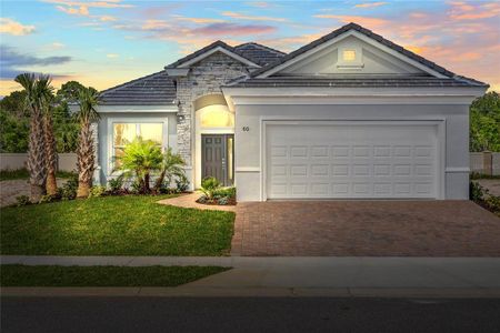 New construction Single-Family house 60 Del Palma Drive, Palm Coast, FL 32137 - photo 4 4