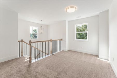 New construction Single-Family house 83 White Spruce Trail, Dallas, GA 30157 Chatham- photo 14 14