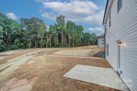 New construction Single-Family house 253 Robinson Clemmer Road, Dallas, NC 28034 - photo 30 30