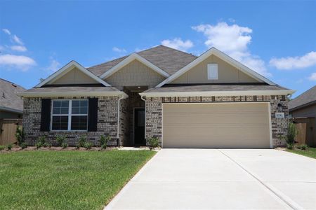 New construction Single-Family house 17311 Silver Birch Court, New Caney, TX 77357 Polo- photo 0 0