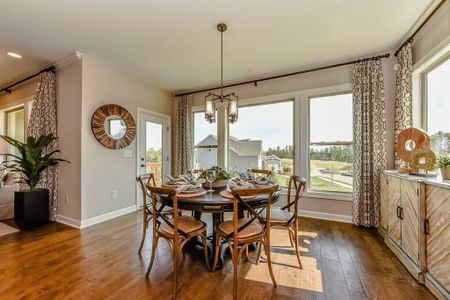 Enclave at Massey by Empire Communities in Fort Mill - photo 17 17