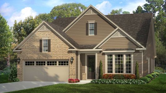 New construction Single-Family house Laurel, 8913 Silver Springs Court, Charlotte, NC 28215 - photo