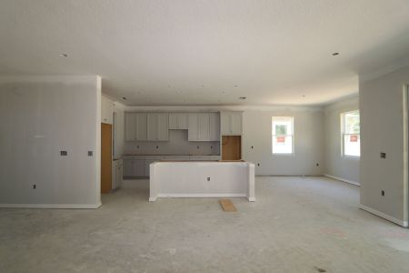 New construction Single-Family house 12114 Hilltop Farms Drive, Dade City, FL 33525 Alenza- photo 106 106