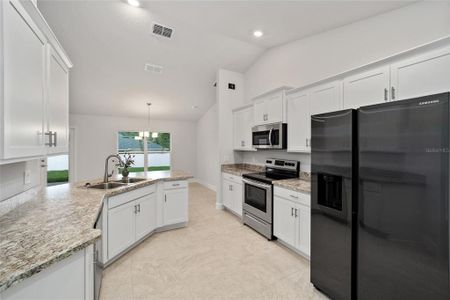 New construction Single-Family house 4099 Ne 58Th Circle, Silver Springs, FL 34488 - photo 21 21