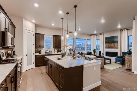 New construction Single-Family house 685 Quarry Court, Erie, CO 80516 - photo 16 16