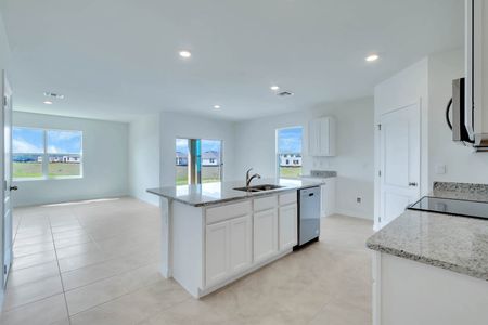 New construction Single-Family house 5297 Greenheart Avenue, Mount Dora, FL 32757 - photo 17 17