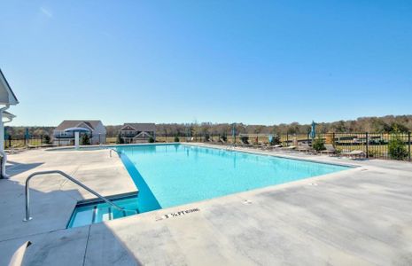 New construction Single-Family house 3093 Lowell Road, Bethlehem, GA 30620 Mitchell- photo 63 63