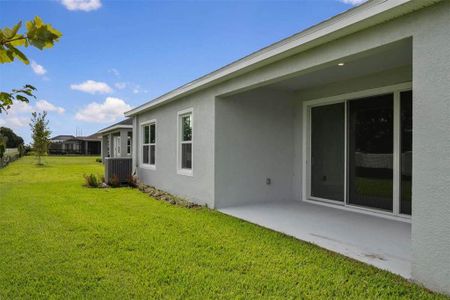 New construction Single-Family house 6336 Roadstead Court, Apollo Beach, FL 33572 Southampton- photo 35 35