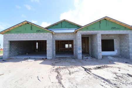 New construction Single-Family house 4778 Beachrose Way, Lakeland, FL 33811 Barcello- photo 17 17
