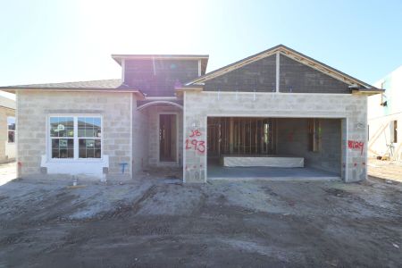 New construction Single-Family house 38124 Shale Stone Court, Zephyrhills, FL 33540 Miranda- photo 5 5