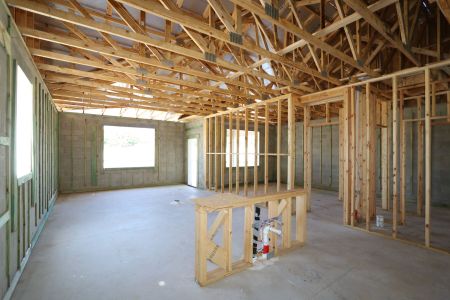 New construction Single-Family house 2885 Misty Marble Drive, Zephyrhills, FL 33540 Herrera- photo 39 39