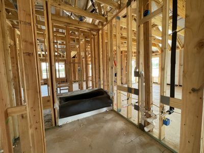 New construction Single-Family house 1209 Dog Iron Court, Georgetown, TX 78628 Medina Homeplan- photo 17 17