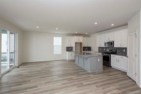 New construction Single-Family house 1889 Water Birch Way, Castle Rock, CO 80108 - photo 19 19