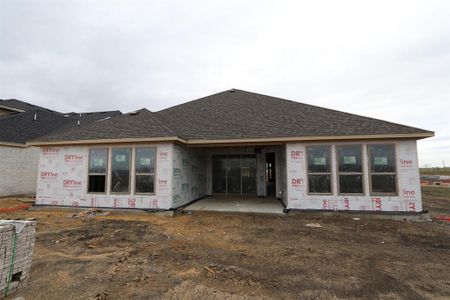 New construction Single-Family house 1608 Dropseed Drive, Celina, TX 75009 Garnet- photo 21 21