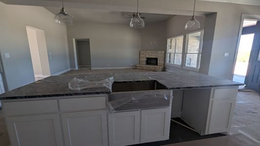 New construction Single-Family house 4225 Old Springtown Road, Weatherford, TX 76085 San Marcos- photo 50 50