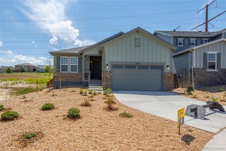 New construction Single-Family house 1771 Water Birch Way, Castle Rock, CO 80108 - photo 0
