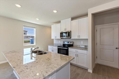 New construction Townhouse house 32468 Limitless Place, Wesley Chapel, FL 33545 Windsor- photo