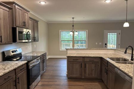 New construction Single-Family house 338 Wynterhall Drive, Griffin, GA 30224 - photo 3 3