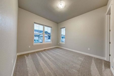 New construction Single-Family house 8412 Cromwell Circle, Windsor, CO 80528 - photo 73 73