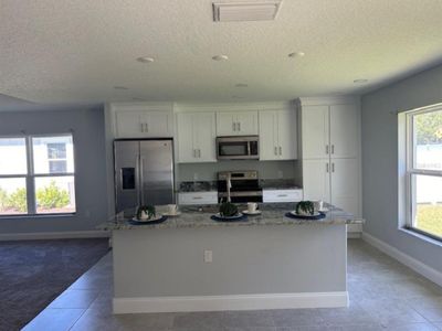 New construction Single-Family house 40 Porcupine Drive, Palm Coast, FL 32164 - photo 5 5