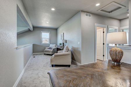 New construction Townhouse house 6248 Vernazza Way, Windsor, CO 80550 - photo 42 42