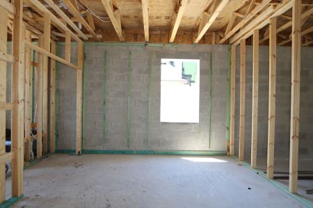 New construction Single-Family house 7690 Hemlock Seed Drive, Wesley Chapel, FL 33545 Sonoma II- photo 27 27