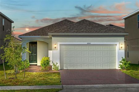 New construction Single-Family house 6886 Wilson Hammock Avenue, Groveland, FL 34736 - photo 0