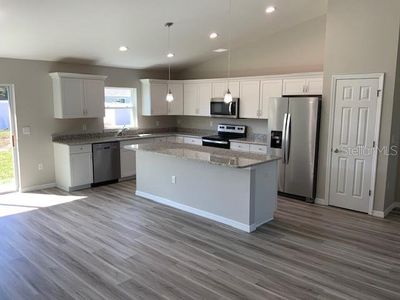 New construction Single-Family house 8914 Sw 194Th Court, Dunnellon, FL 34432 - photo 3 3