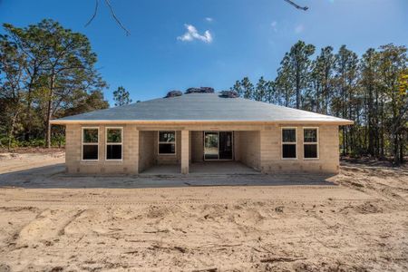New construction Single-Family house 1382 N Hambletonian Drive, Hernando, FL 34442 - photo 14 14