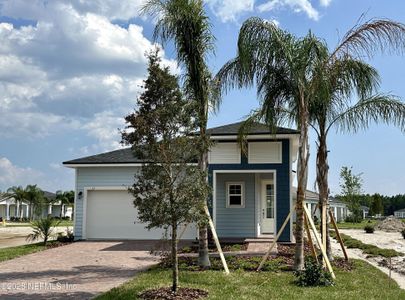 New construction Single-Family house 96 Amberwood Drive, Saint Augustine, FL 32092 - photo 10 10