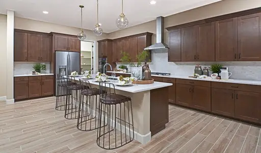 West Park Estates by Richmond American Homes in Queen Creek - photo 22 22