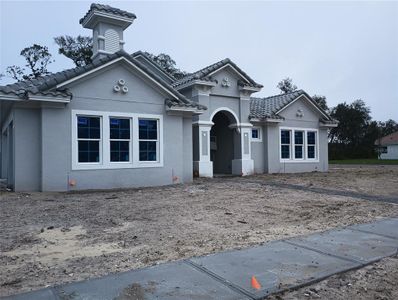 New construction Single-Family house 70 New Leatherwood Drive, Palm Coast, FL 32137 - photo 1 1