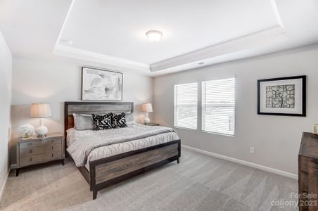Northfield Crossing by Mattamy Homes in Charlotte - photo 30 30