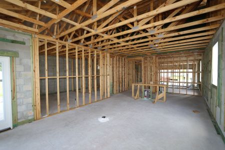 New construction Single-Family house 2885 Misty Marble Drive, Zephyrhills, FL 33540 Herrera- photo 47 47