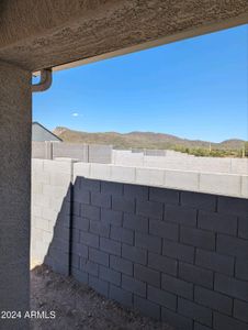 New construction Single-Family house 18922 E Malena Drive, Gold Canyon, AZ 85118 - photo 4 4