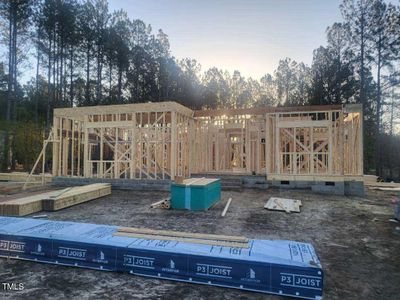 New construction Single-Family house 22 Independence Drive, Smithfield, NC 27577 - photo 15 15