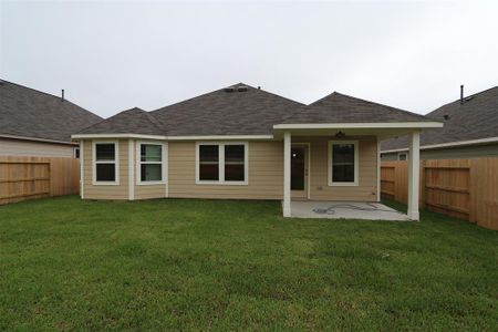 New construction Single-Family house 17311 Silver Birch Court, New Caney, TX 77357 Polo- photo 22 22